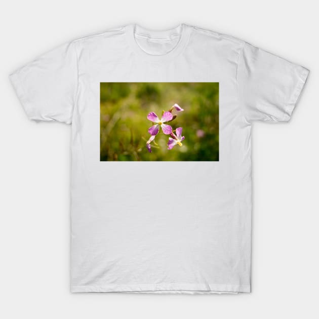 gli potato in bloom T-Shirt by pcfyi